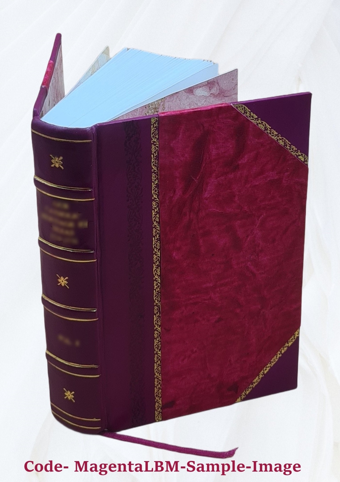 Principles of medicine: comprising general pathology and therape [Leather Bound]