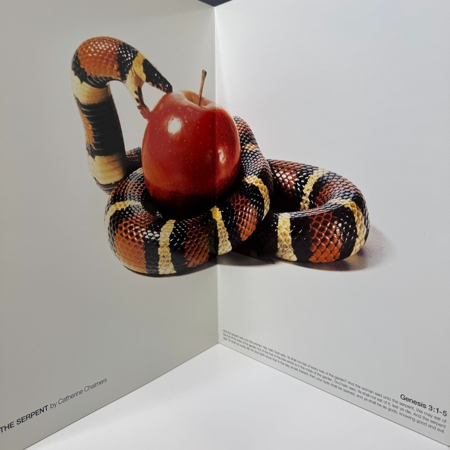 VISIONAIRE 28: BIBLE Edition by Philippe Starck: #2256 Of 6000 – Rare Limited