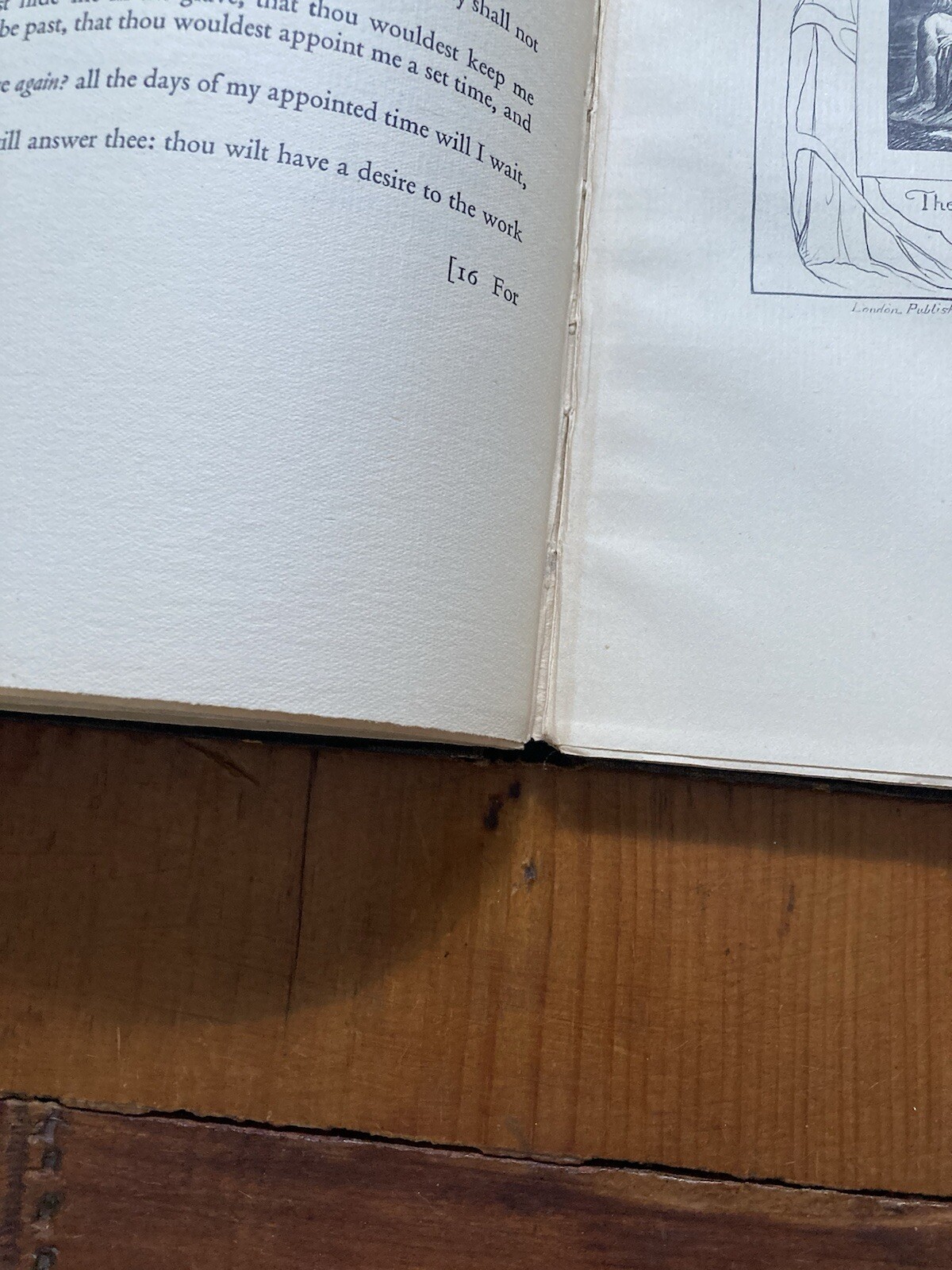 WILLIAM BLAKE THE BOOK OF JOB 22 ENGRAVINGS LETTERPRESS 1927 ART RELIGION BIBLE