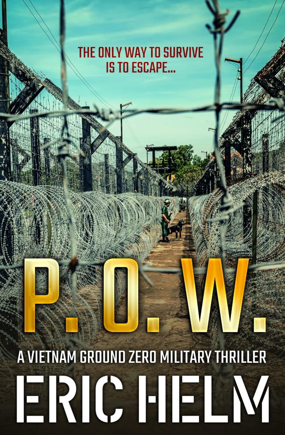 P. O. W.: The only way to survive is to escape… (Vietnam Groun