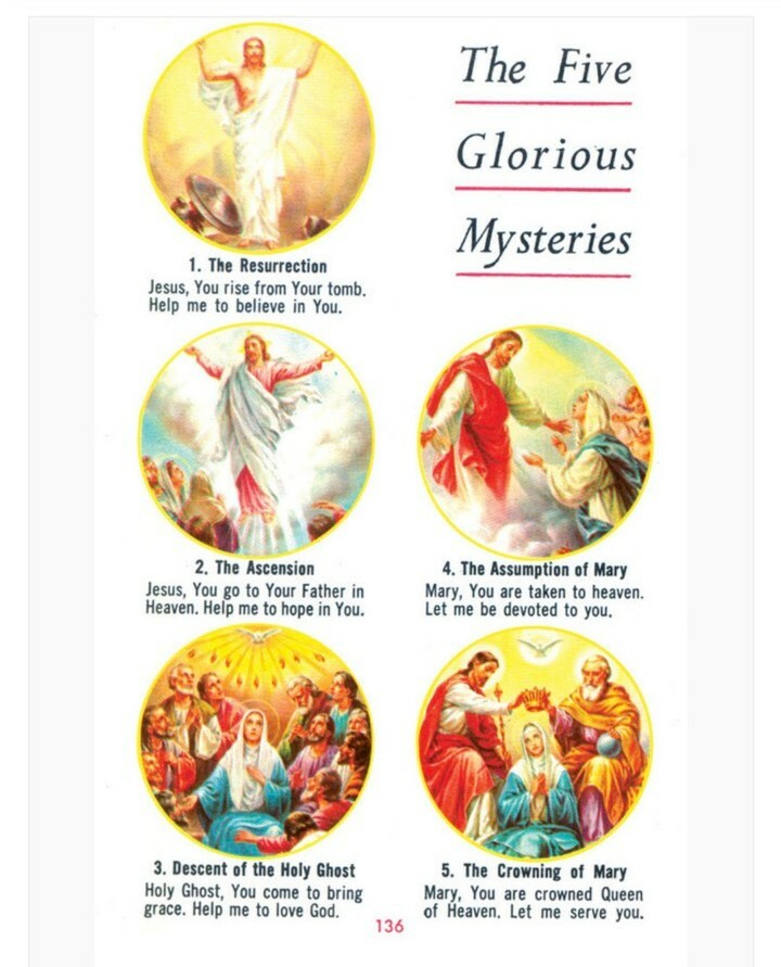 Latin Mass Children’s Missal – Black by Fr. Hoever, H: New Book