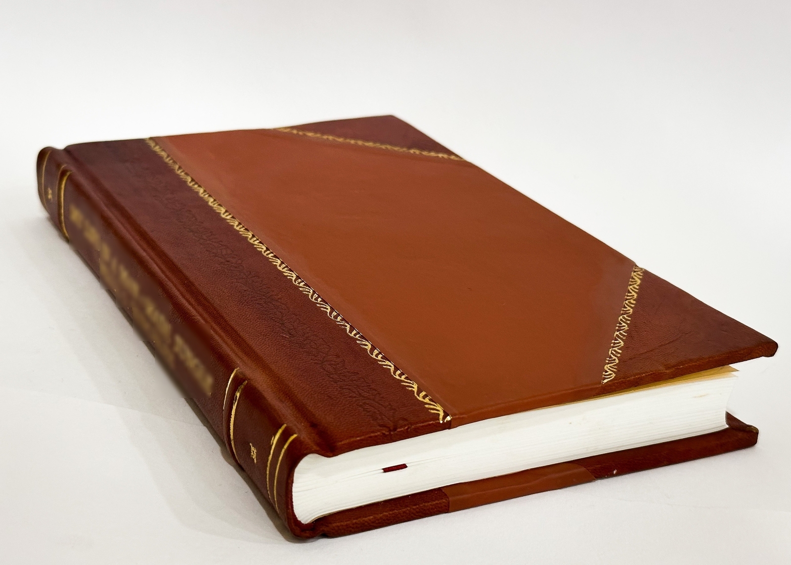 Masnavi I Ma’Navi; the Spiritual Couplets of Maulana [Leather Bound]