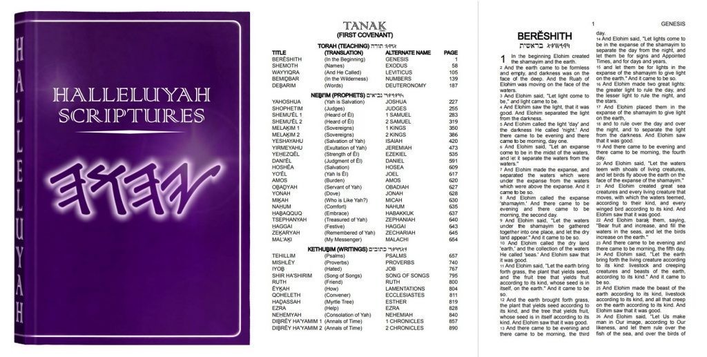 BIBLES RESTORED NAMES BOX OF 16 – Free Shipping