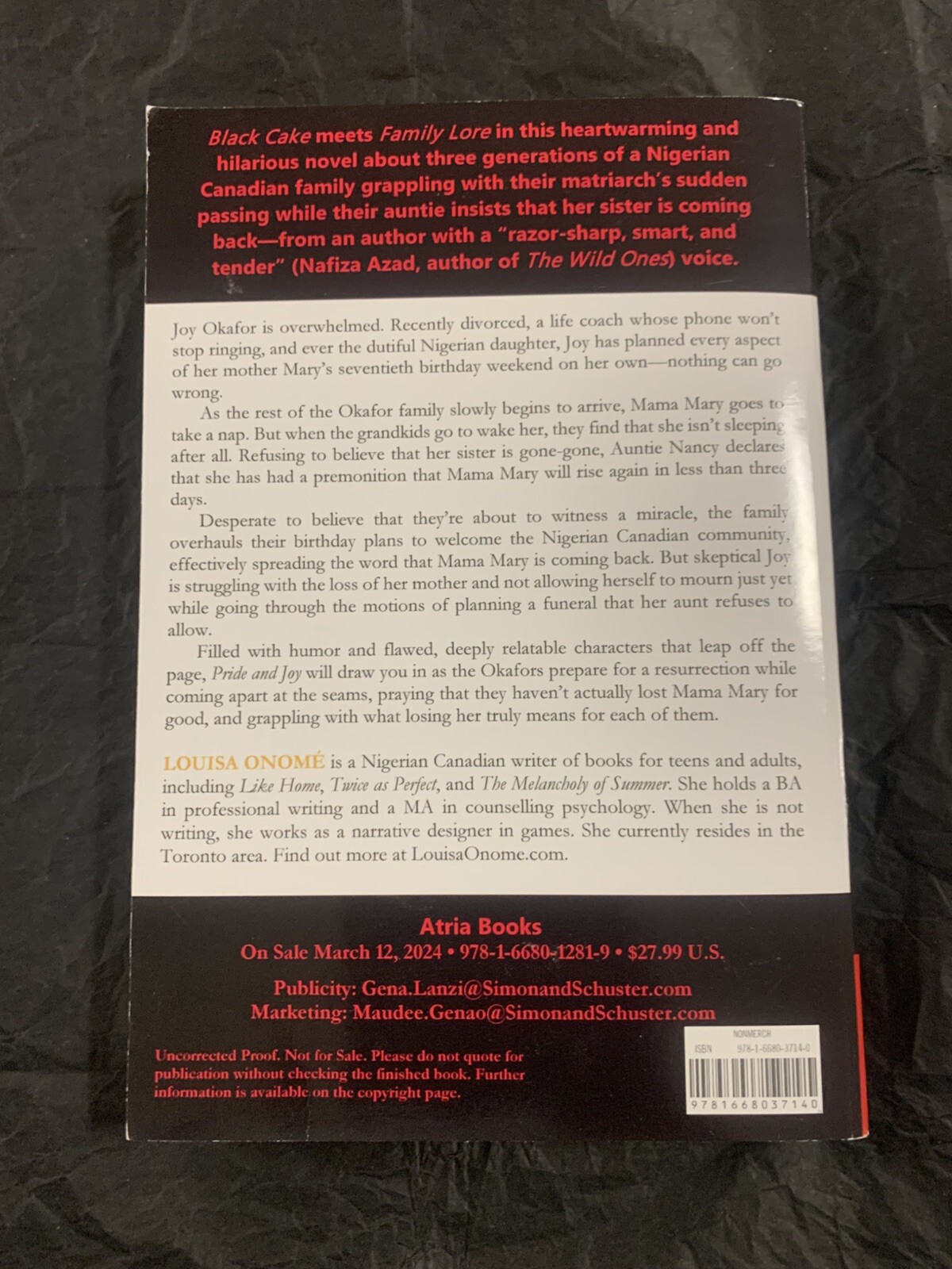 Pride and Joy: A Novel by Louisa Onomé (softcover)
