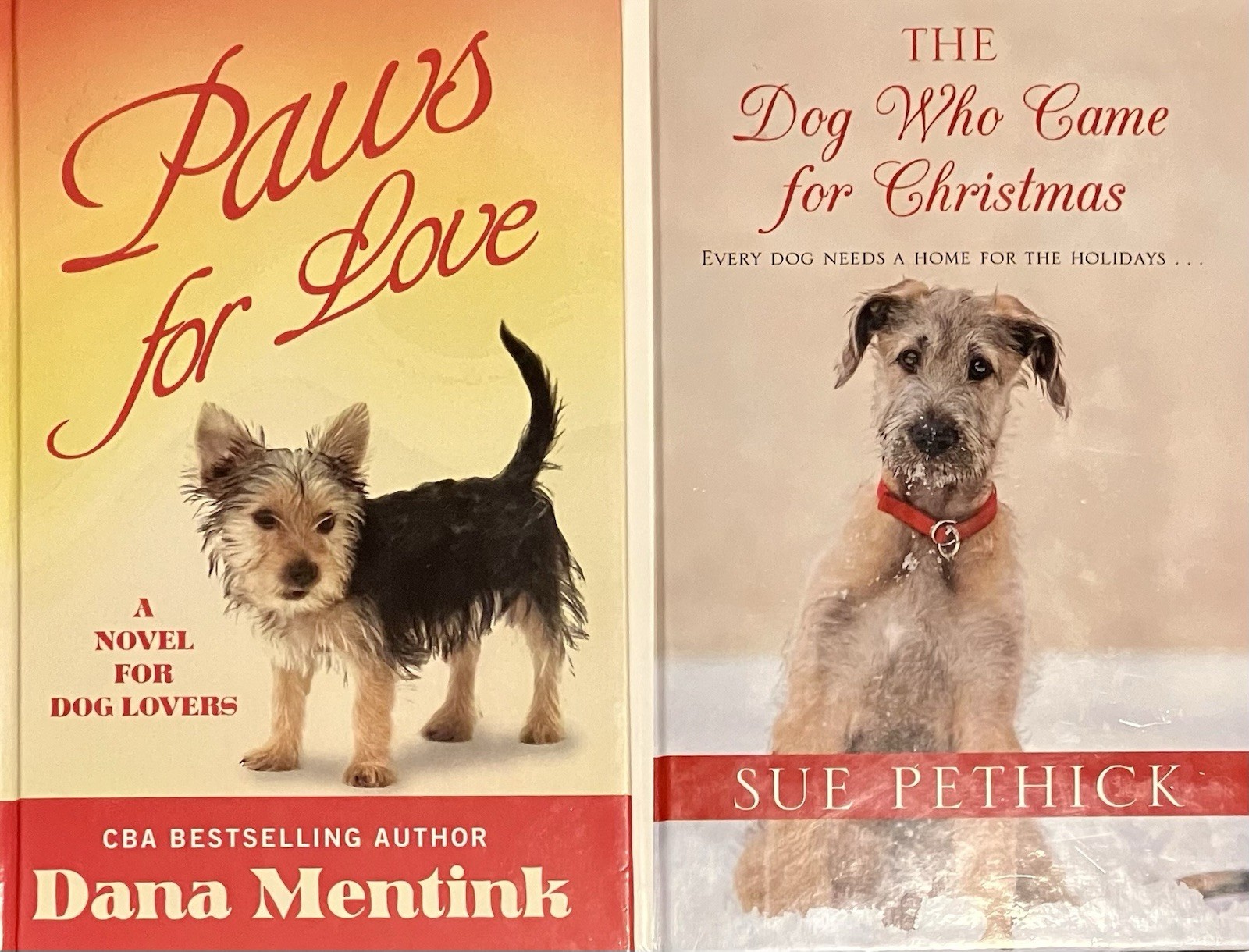 Large Print (2hc) SUE PETHICK dog who came for xmas DANA MENTINK paws for love