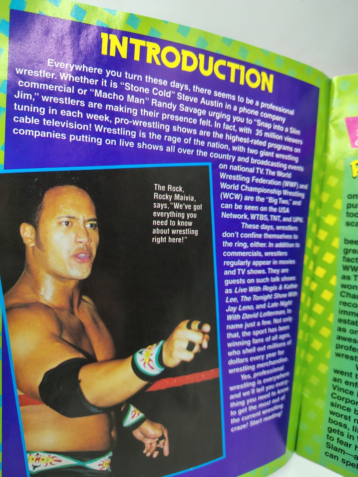 Guide To Everything WRESTLING: Magazine Booklet 24 pages Tiger Books 1999 Vtg