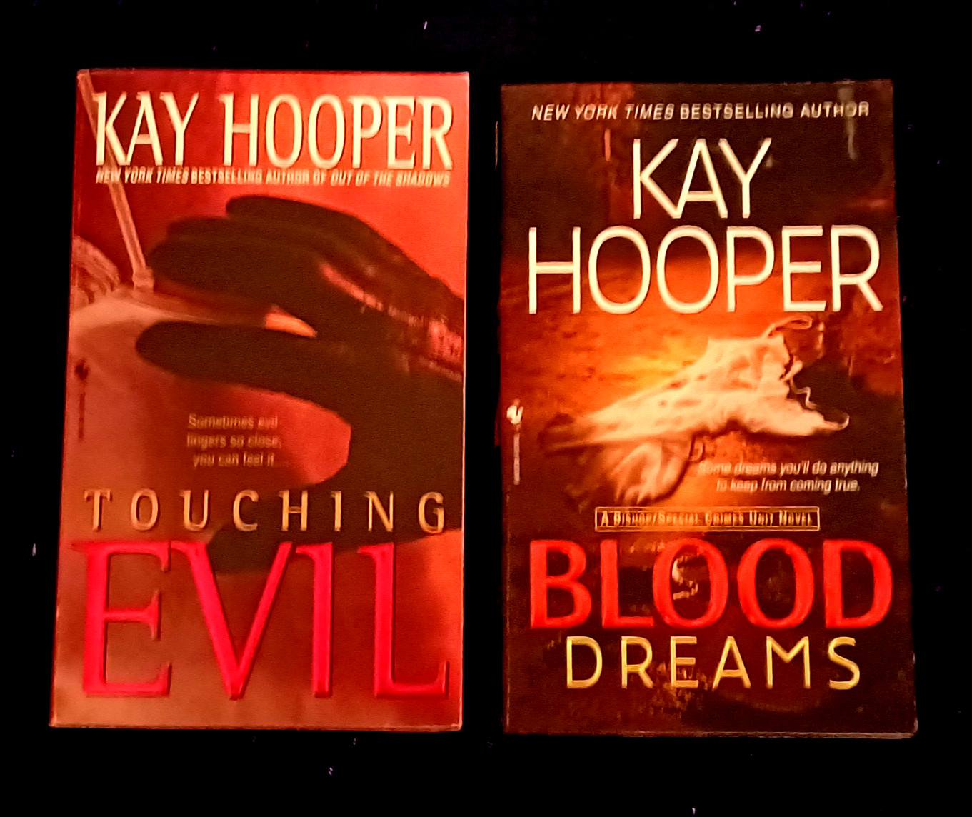 2 Bishop/Special Crimes Unit novels-Touching Evil/Blood Dreams-free shipping