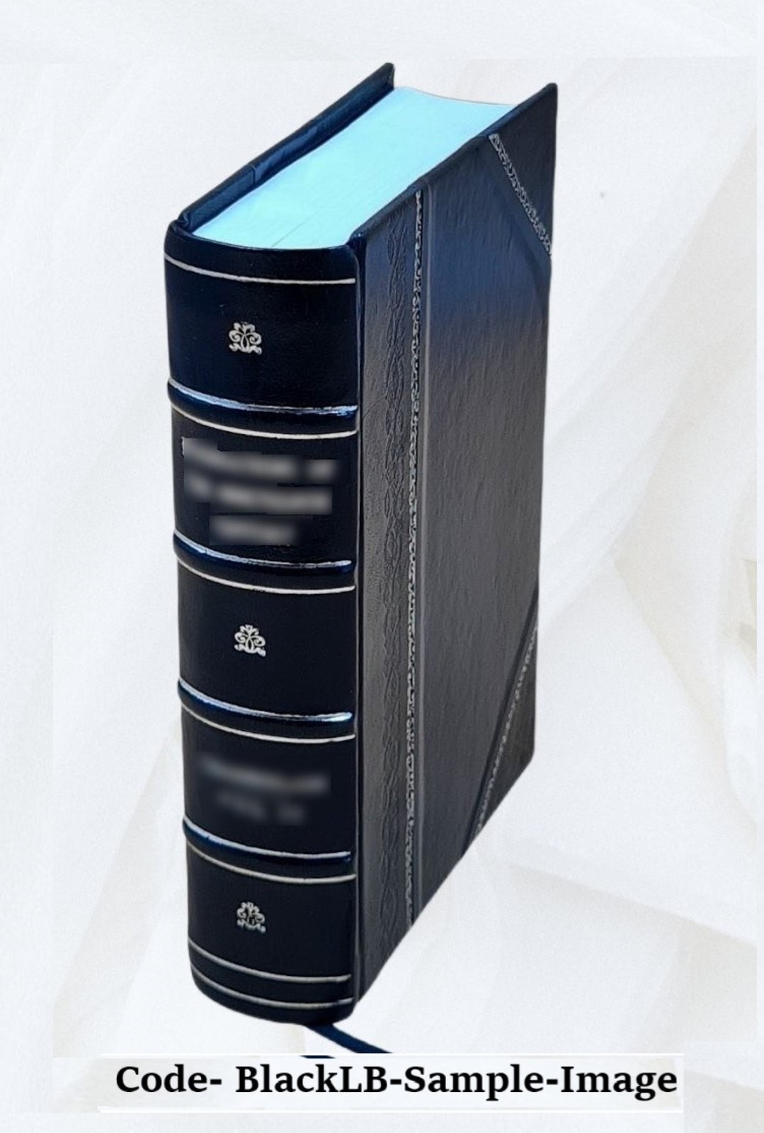 The Secret Of Light 1818 [Leather Bound] By Walter Russell