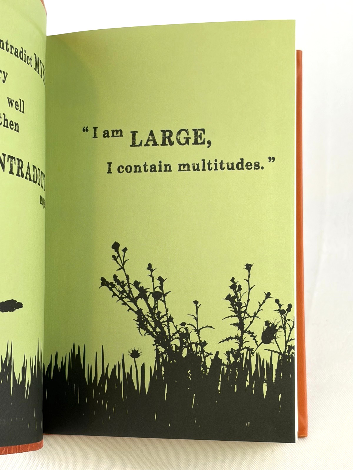 LEAVES OF GRASS by Walt Whitman Deluxe Flexi Bound Faux Leather Classics NEW