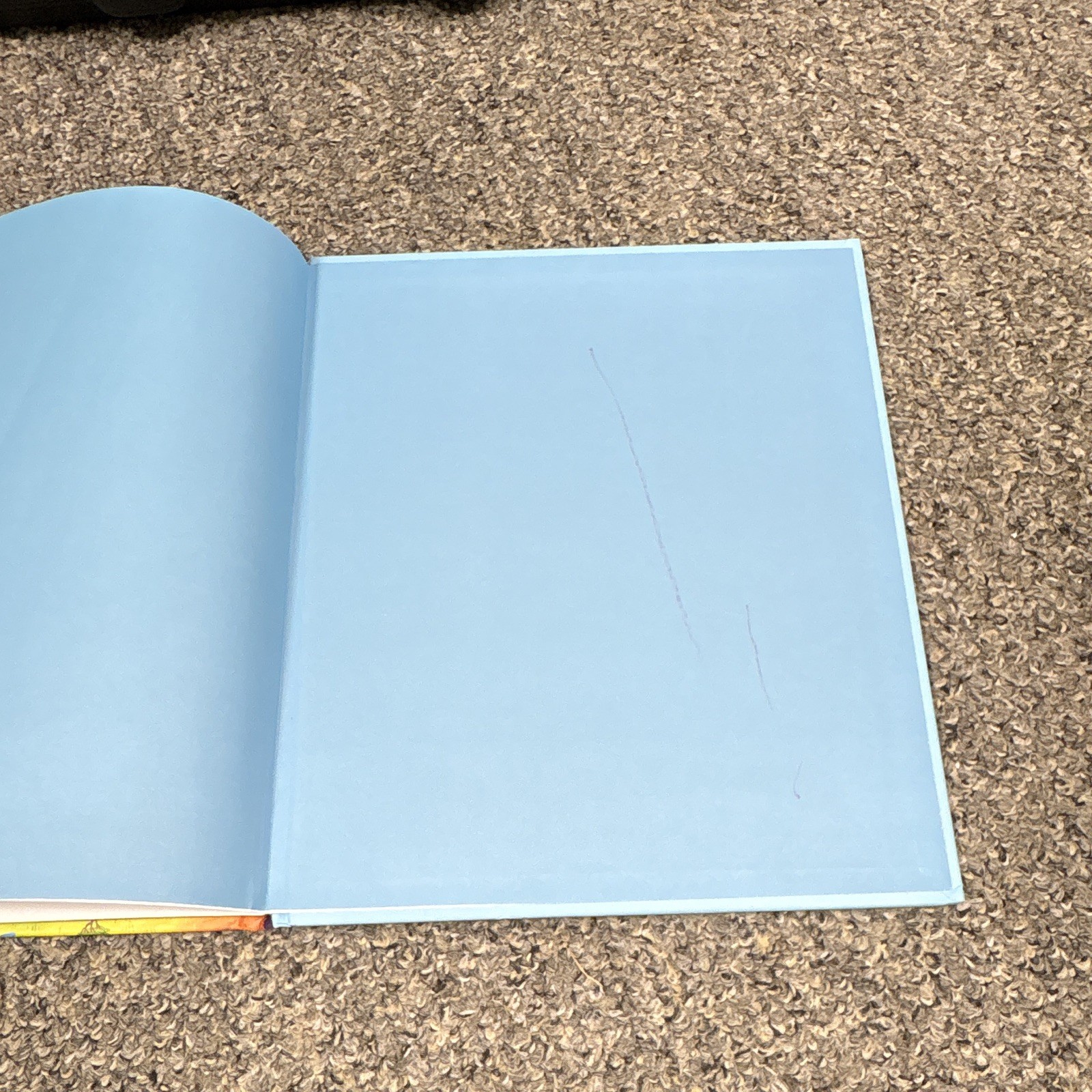 EDC Publishing My Very First Our World Book IR Matthew Odom 2018 Hardcover