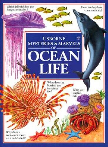 Ocean Life (Usborne Mysteries Marvels) – Paperback By Morris, R – VERY GOOD
