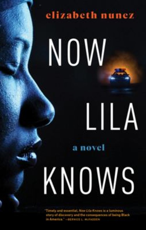 Now Lila Knows Hardcover Elizabeth Nunez