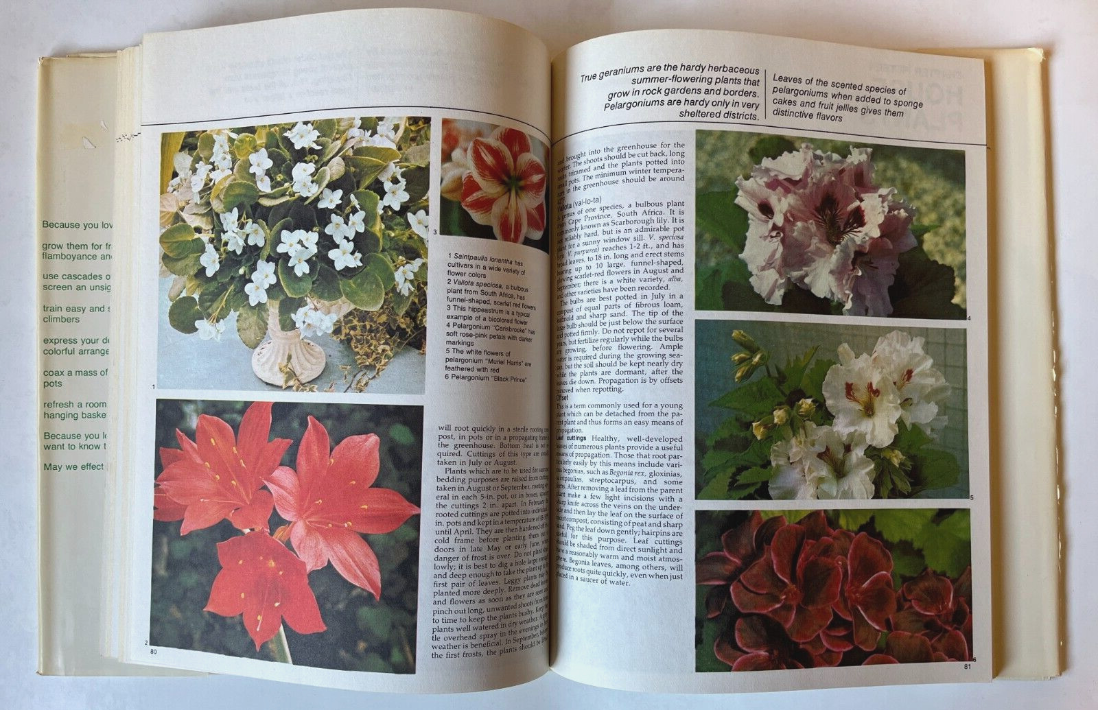 Flowers for Everywhere By Conrad B. Link & Castle Books Hardcover, 125 pages