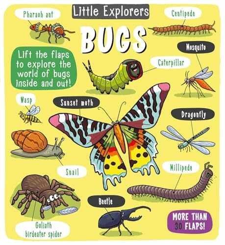 Little Explorers: Bugs – Hardcover, by Little Bee Books – Very Good