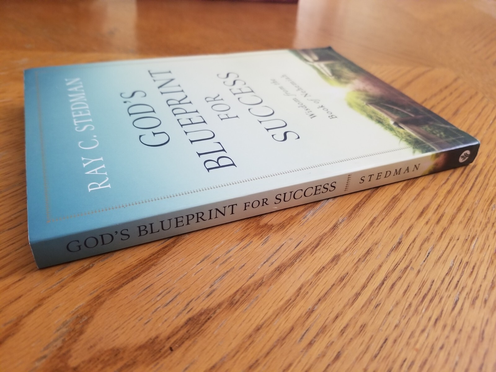 God’s Blueprint for Success : Wisdom from the Book of Nehemiah by Ray C. Stedman