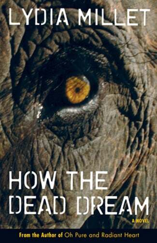 How the Dead Dream by Lydia Millet: Used