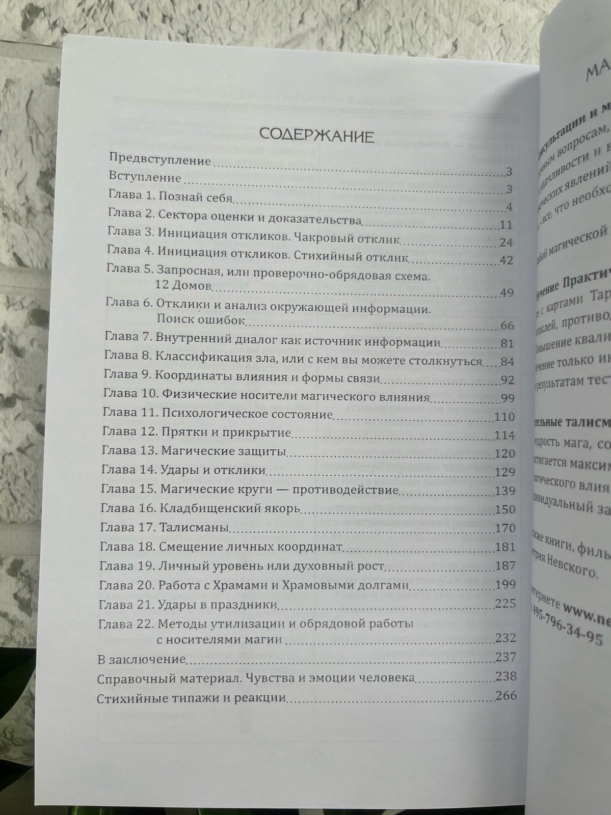 Ральф Блюм | Книга Рун 📚