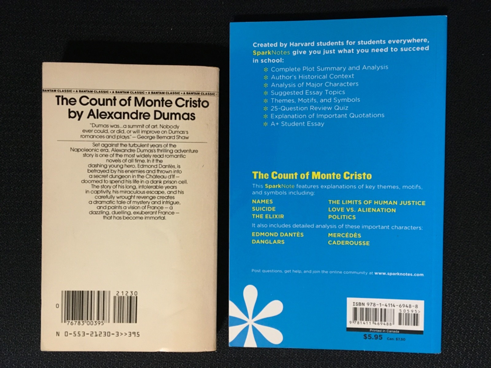 Lot THE COUNT OF MONTE CRISTO by Allexander Dumas Novel + SparkNOTES Study Guide