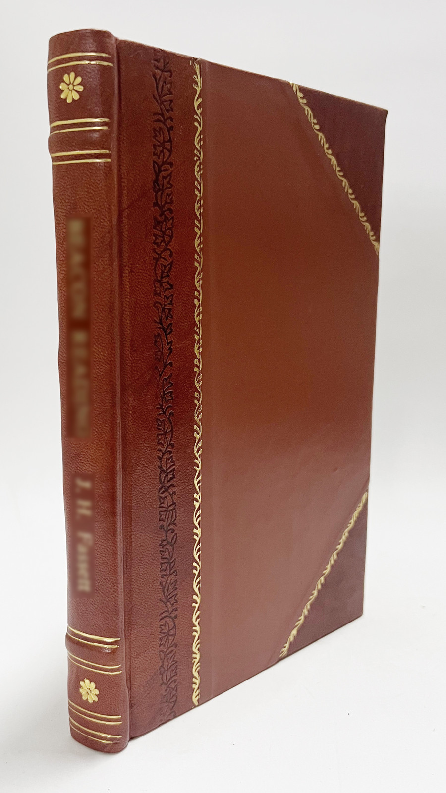 How Joy Was Found: a Fantasy (1917) [Leather Bound]