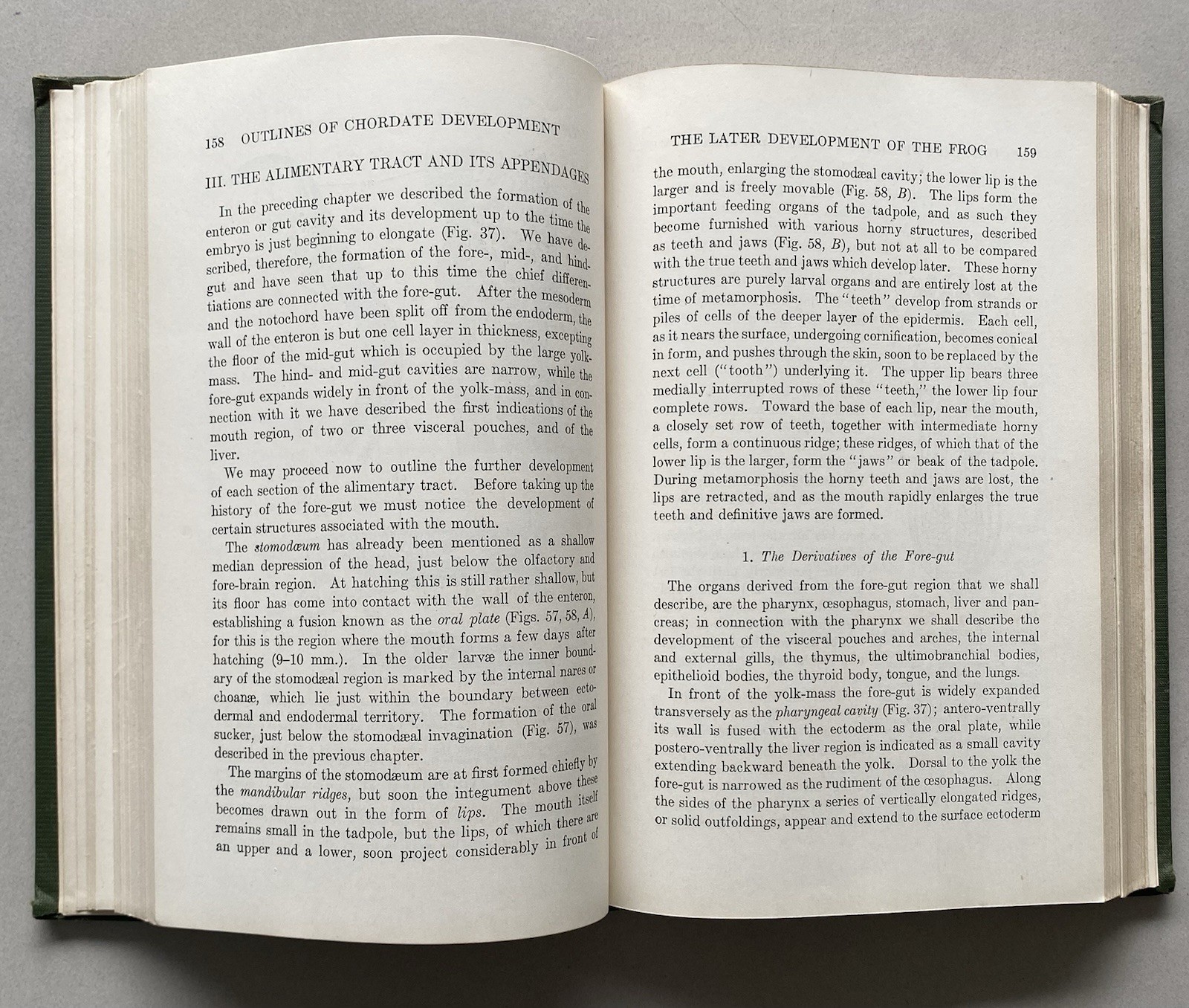Outlines of Chordate Development by William Kellicott (1934 Hardcover)