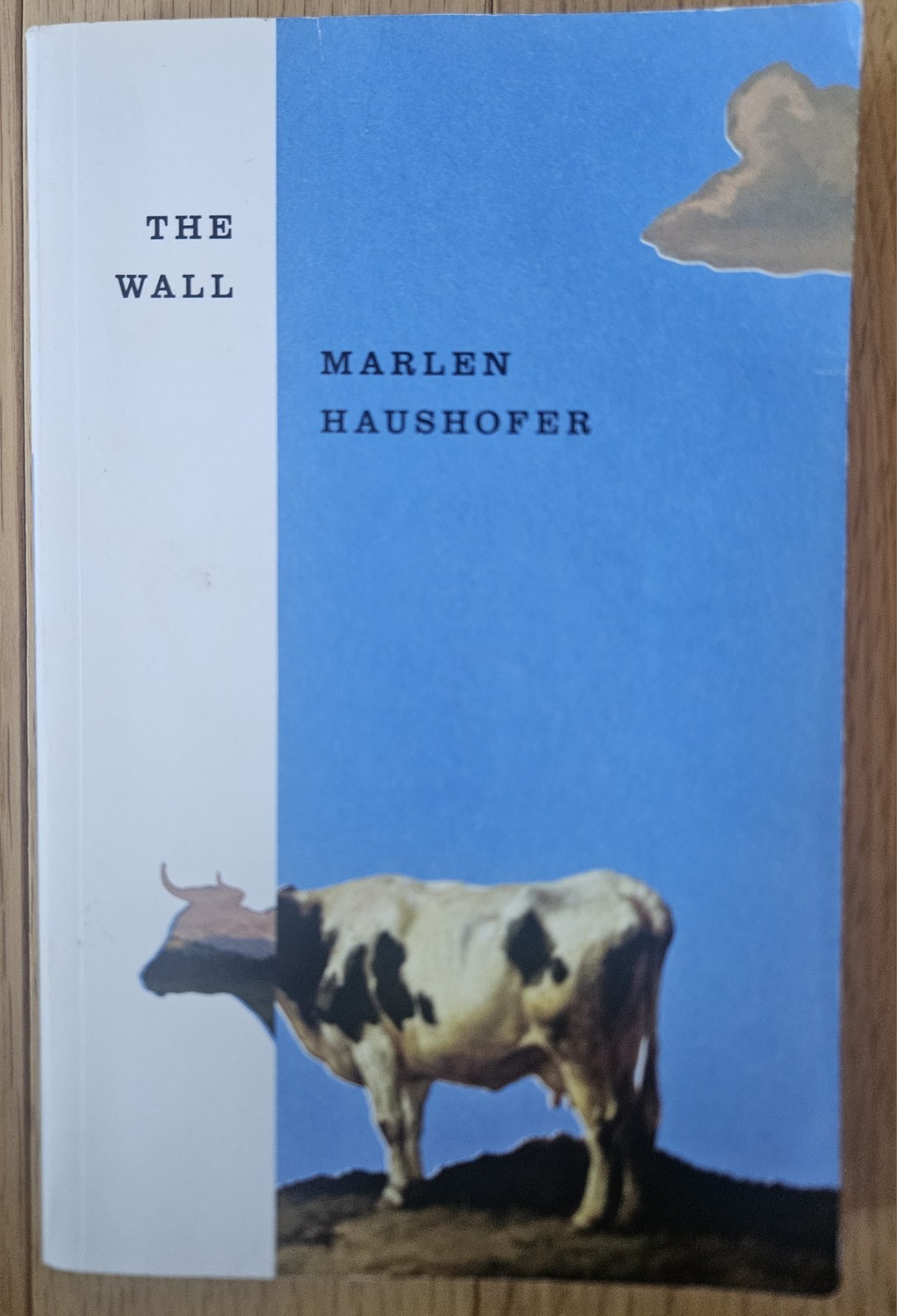 Wall by Marlen Haushofer (2022, Trade Paperback)