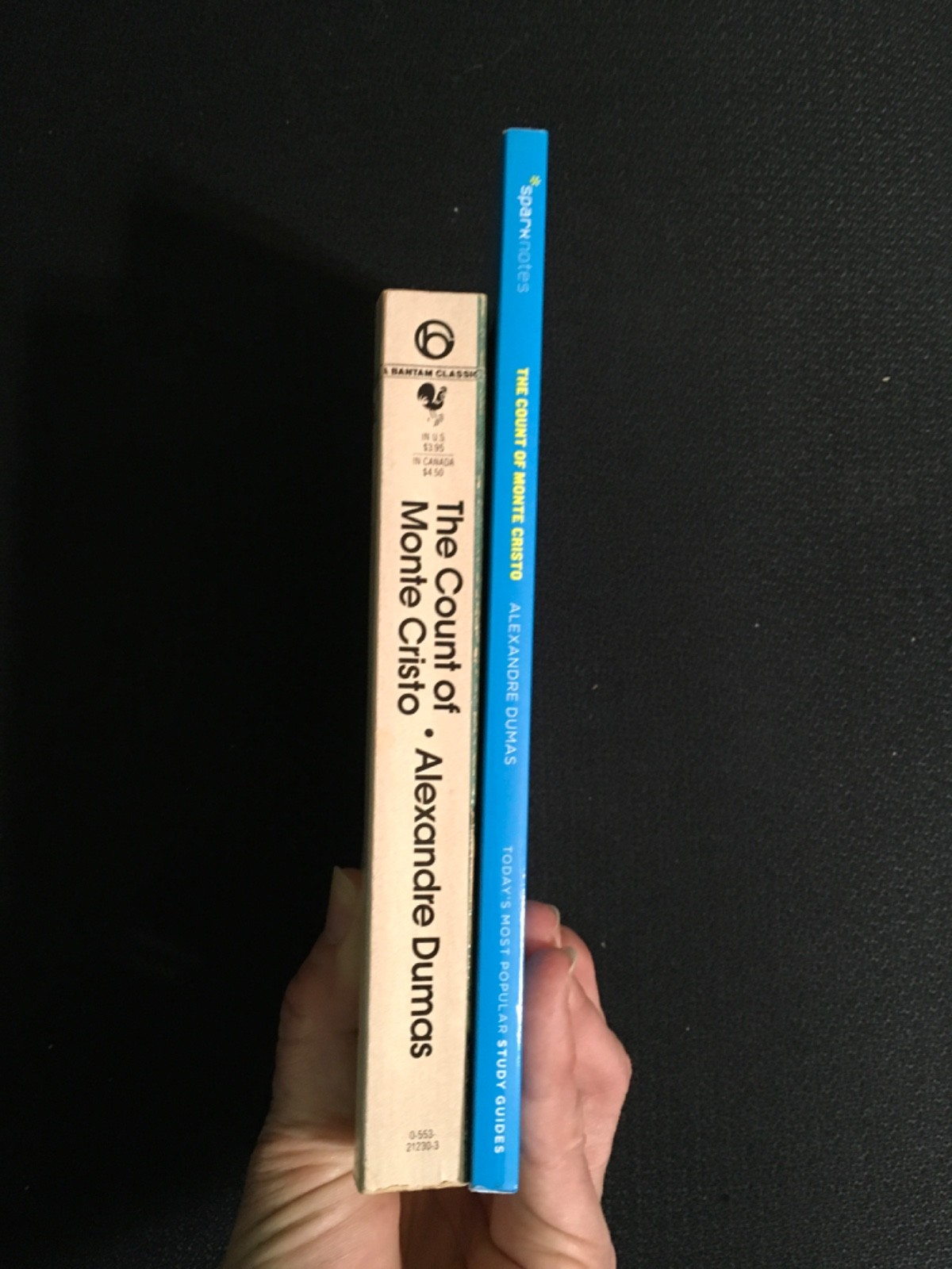 Lot THE COUNT OF MONTE CRISTO by Allexander Dumas Novel + SparkNOTES Study Guide