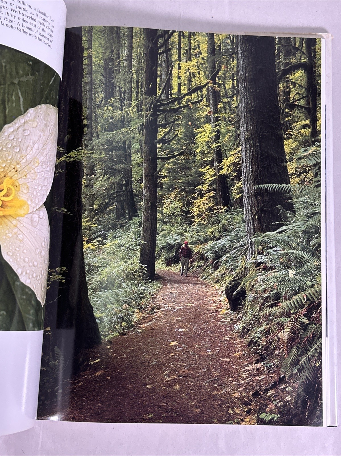 Oregon III Table Top Book Photography by Ray Atkeson Text by Richard Ross 1987