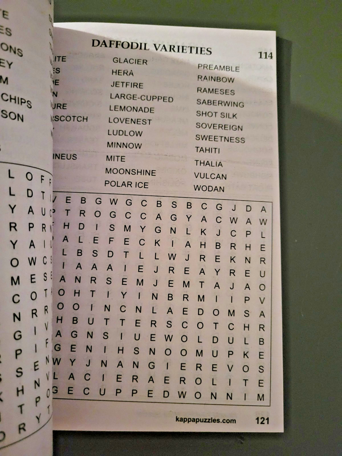 Lot of 3 Find-the-Word Puzzle Books by Kappa – 2 Special & Jumbo 390+ Challenges