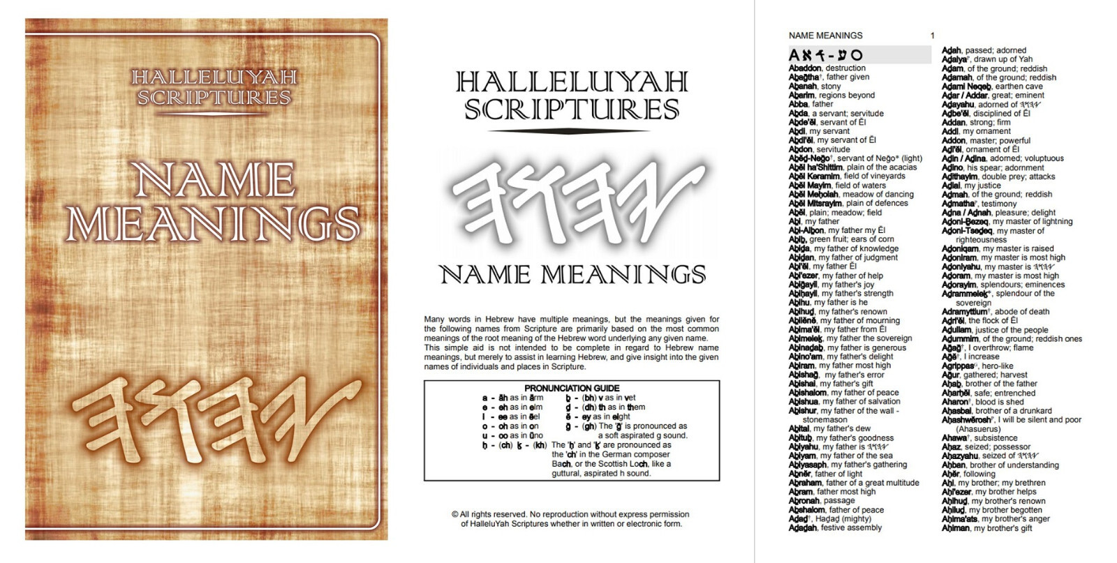 HalleluYah Scriptures RESTORED NAMES Bible LARGE PRINT Leather & Free Books