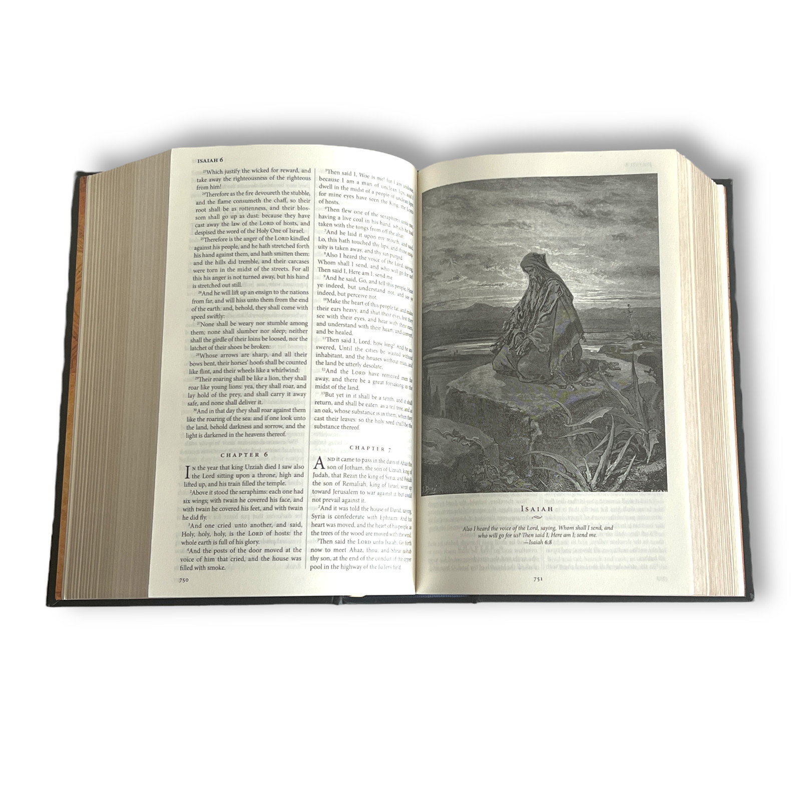 THE HOLY BIBLE King James Version KJV Deluxe Illustrated Gustave Dore NEW SEALED