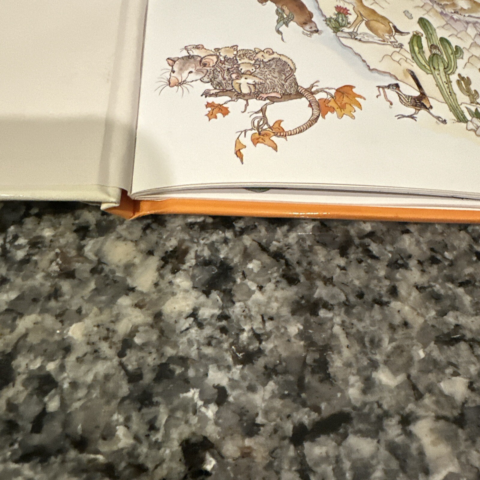 VTG 📚A Treasury Of Children’s Literature” Armand Eisen HCDJ 1992+ Animal Atlas