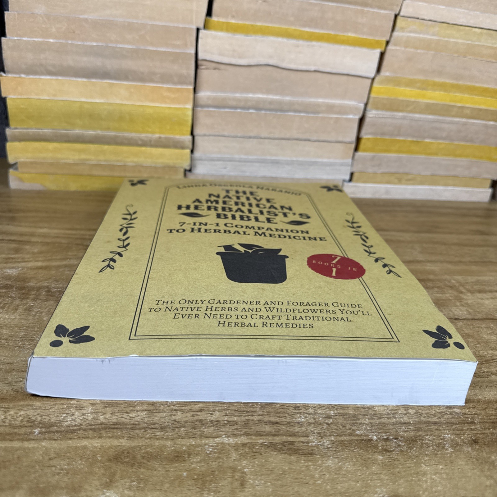 THE NATIVE AMERICAN HERBALISTS BIBLE 7-IN-1 COMPANION TO HERBAL MEDICINE: THE ON