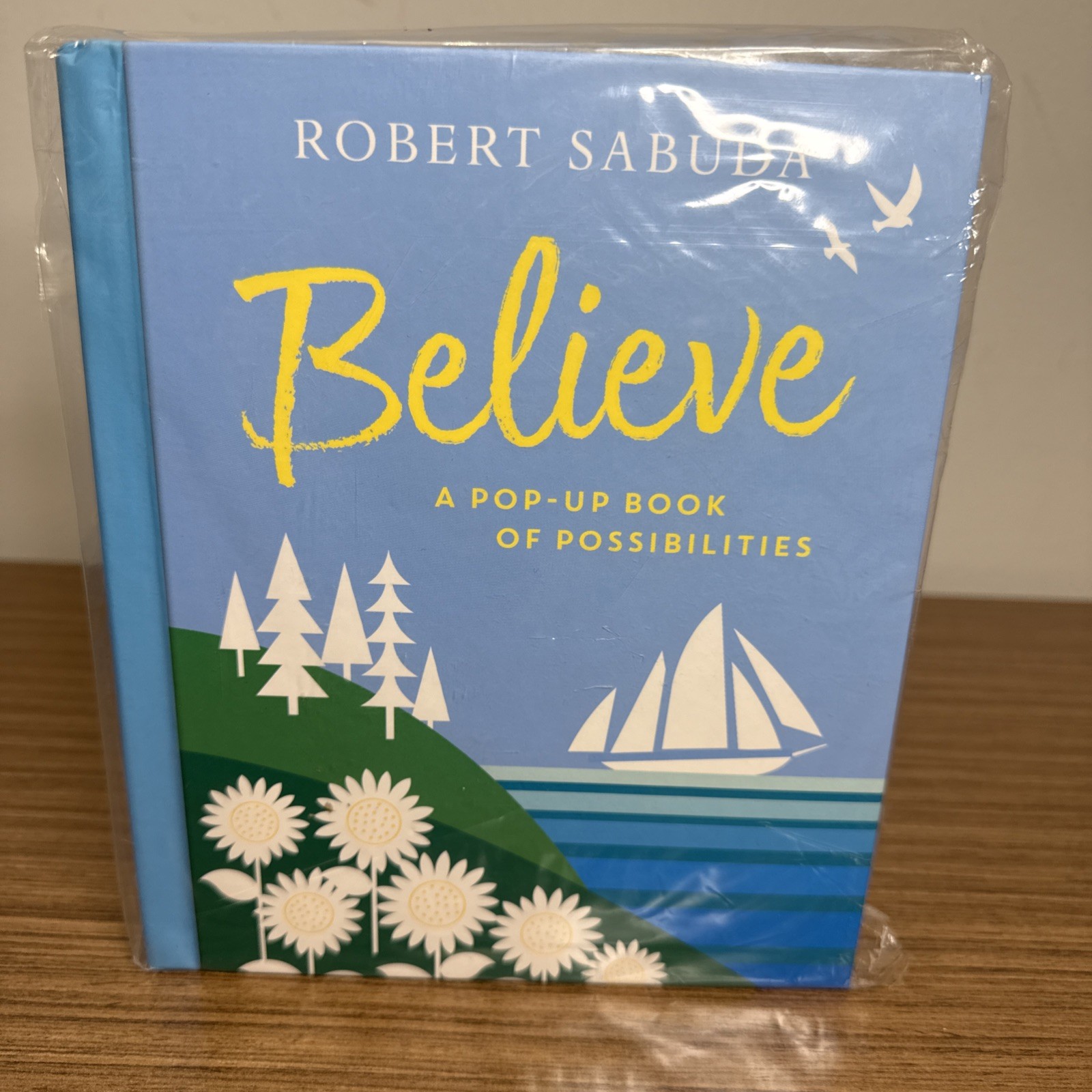 SEALED Believe : A Pop-Up Book of Possibilities by Robert Sabuda 2019, Hardcover