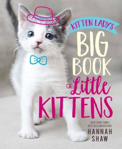 Kitten Lady’s Big Book of Little Kittens – Hardcover By Shaw, Hannah – GOOD